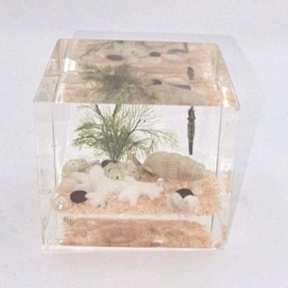 Lucite Sealife Diorama Aquarium‎ Block 2.5" X 2.5" Small Paperweight Vintage 60s